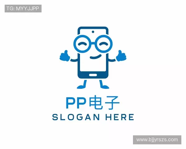 了解PP电子网址